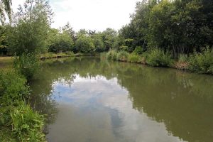Brookside Fisheries - Snake Lake 1